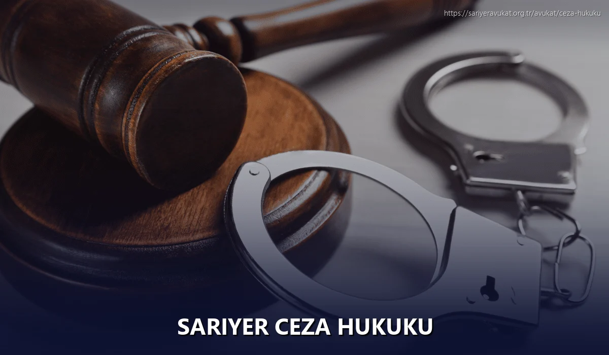 Sariyer Ceza Hukuku